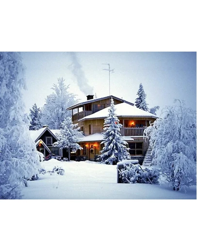 Всё, что нужно для веселого празднования Нового Года