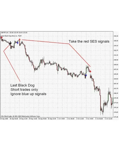 Перевод английской торговой системы Black Dog