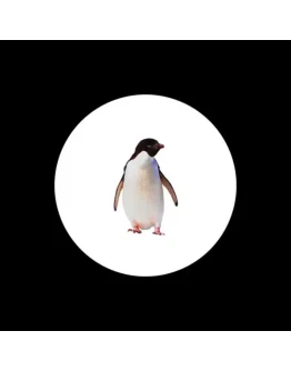 Скринсейвер 