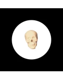 Скринсейвер 