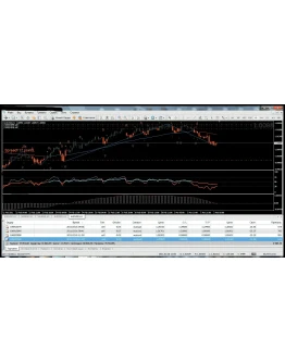 Уникальная авторская ТС 