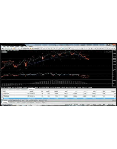 Уникальная авторская ТС 