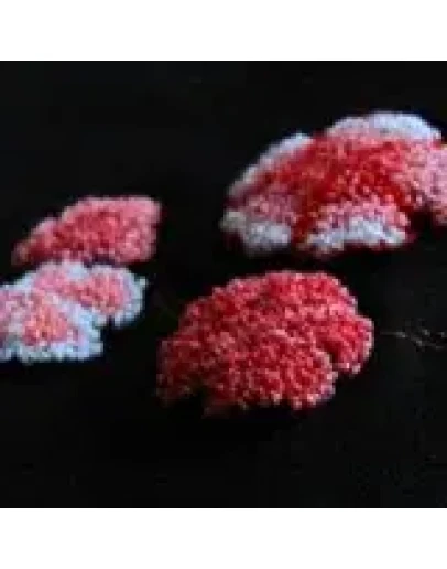 Схема в технике punchneedle 