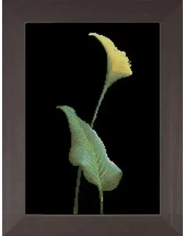 Схема для вышивки крестом 