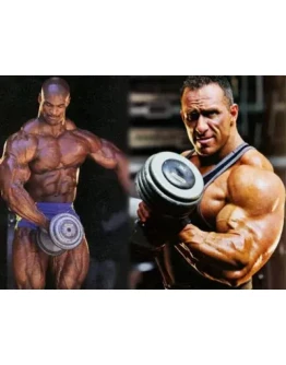 Комплексы упражнений с гантелями