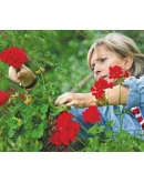 Удачный садовод