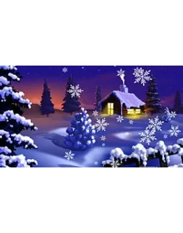 Falling Snow code activation