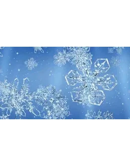 Snowflake 1 code activation