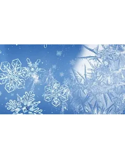 Snowflake 2 code activation