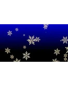 Snowflake 3 code activation