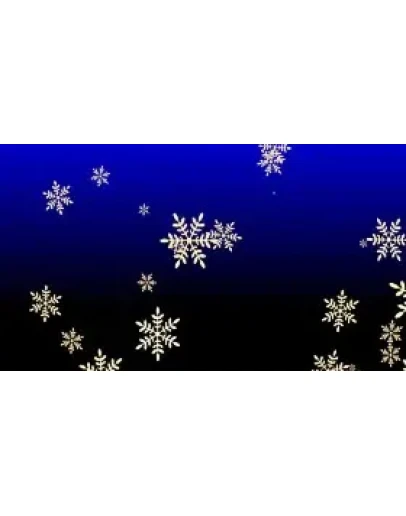 Snowflake 3 code activation