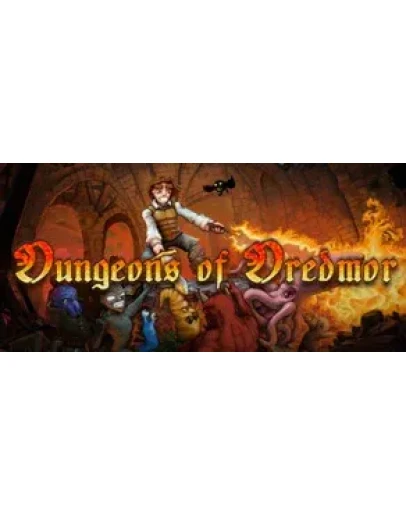 Dungeons of Dredmor (Region Free / Steam)