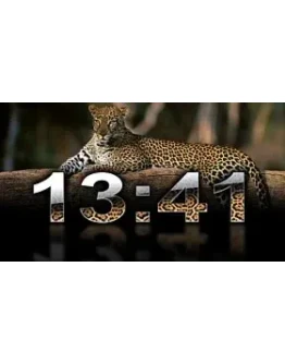 Clock Digital Leopard code activation