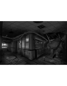 Все для создание сервера в