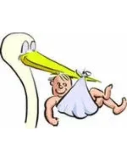 Прогноз (планирование) пола ребенка по обновлению крови