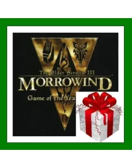 The Elder Scrolls III Morrowind GOTYSteamRU-CIS