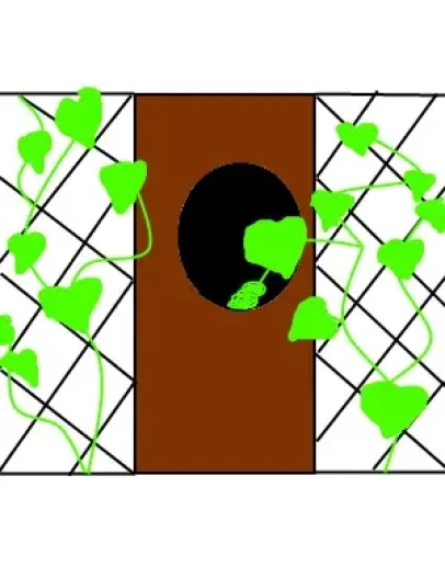 Таинственный огурец