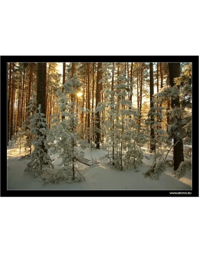 1332 фото высокого разрешения Зимняя сказка