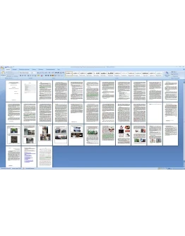 курсовая работа Партизанский маркетинг вPR деятельности