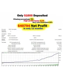 Forex Expert Advisor 