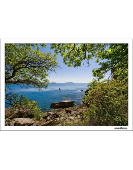 892 фото высокого разрешения Морской пейзаж