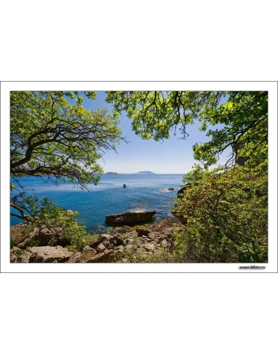 892 фото высокого разрешения Морской пейзаж