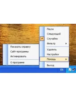 BgPlayer-Professional для 1 компьютера