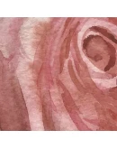 Акварельная роза