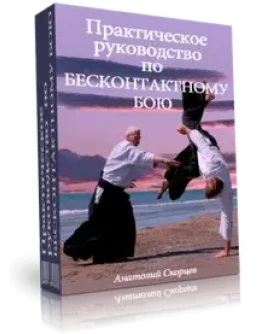 Практическое руководство по БЕСКОНТАКТНОМУ БОЮ + Бонус
