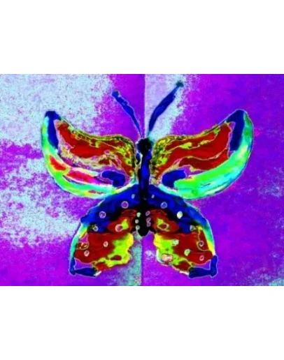 Выбирая свой Путь...