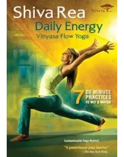 Видеофильм Винъяса-Йога