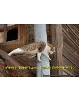 Диплом Управление доходностью предприятия