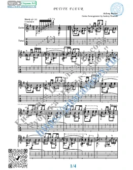 Маленький цветок (Ноты и табы для гитары соло) Маленький цветок (Ноты и табы для гитары соло)