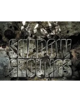Shadowgrounds - CD-KEY - Steam Worldwide + АКЦИЯ