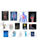 HD фотографии человеческого организма - анатомия