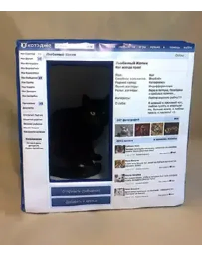 Инструкция по изготовлению домика для КОТА 