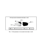 Курсовая Социальная адаптация детей из неполных семей