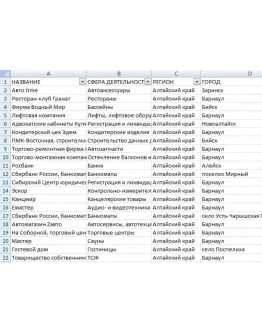База юр.лиц, Амурская область, 4916 записей, 1152 email