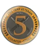 CS 2 Prime Status15 ЛЕТ ВЫСЛУГИ5 лет ветеран+EMAIL