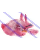 Анимированная картинка 