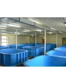 Прибыльное разведение рыбы