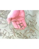 Прибыльное разведение рыбы