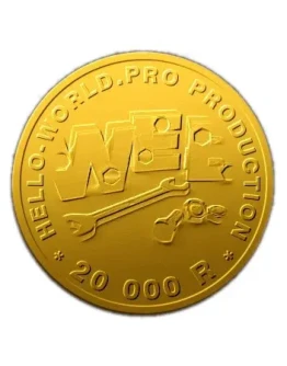 Оплата услуг 20000 рублей hello-world.pro