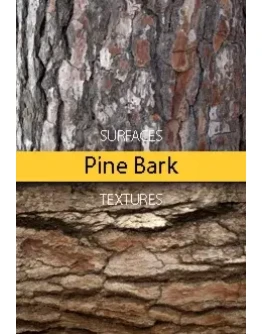 Pine Bark Surfaces Texture Backgrounds Pine Bark Surfaces Texture Backgrounds