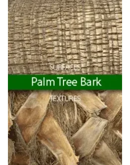 Palm Tree Bark Surfaces Palm Tree Bark Surfaces
