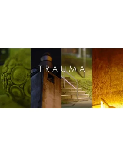 Trauma (Steam Key / Region Free)