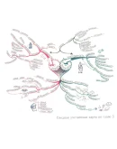 Могущество Духовного Интеллекта