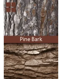 Pine Bark Patterns Pine Bark Patterns