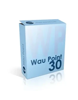 Пополнение баланса 30 wp