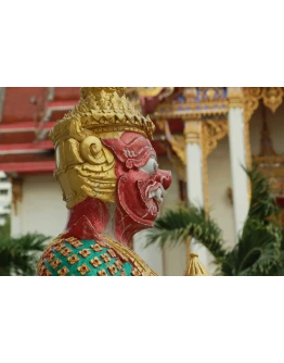 Фотография бога Ханумана, храмовый комплекс Радж